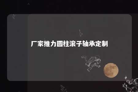 厂家推力圆柱滚子轴承定制 